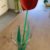 Muttertags-Blume