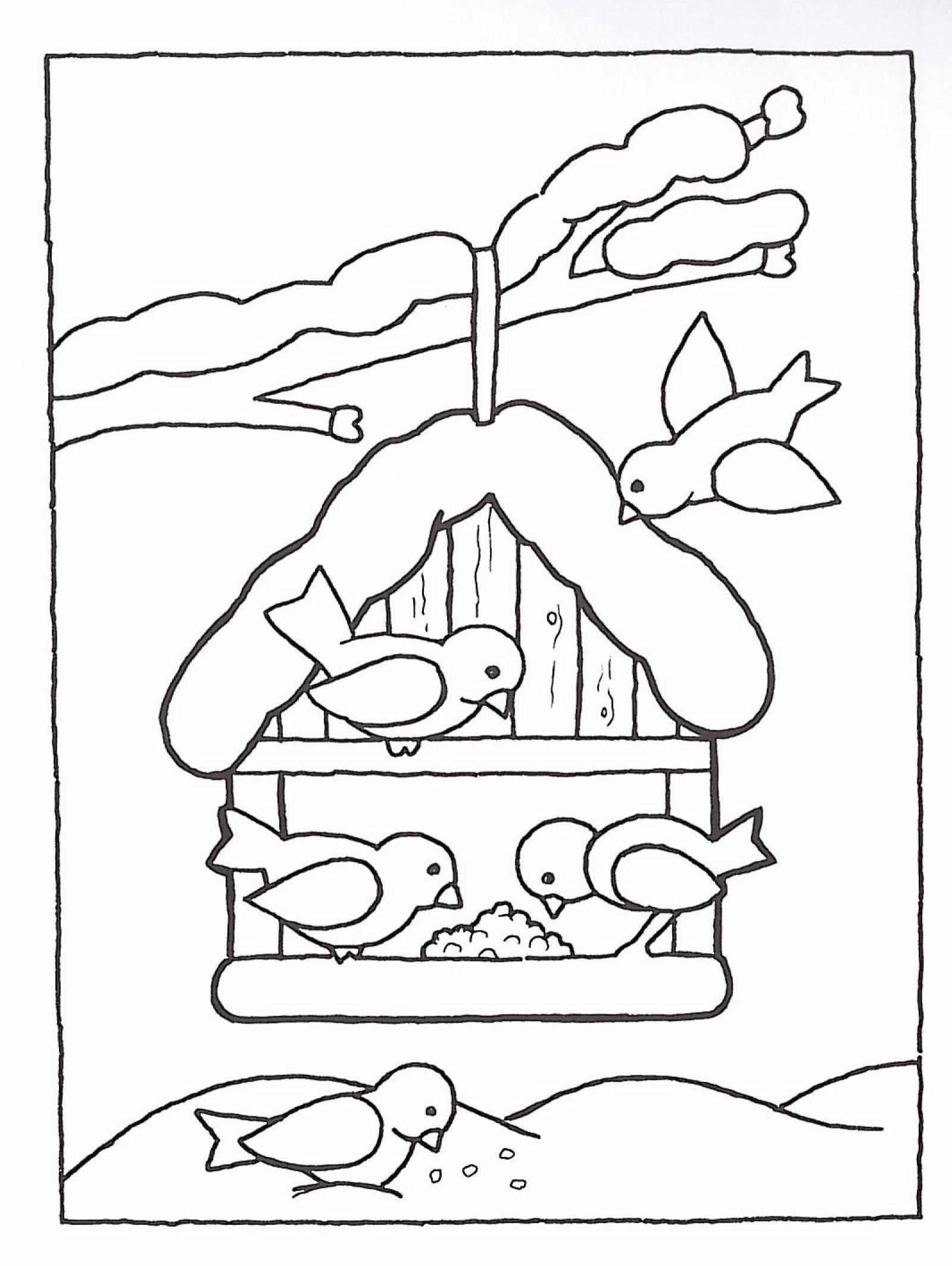 Vögel im Winter Kindergarten: Ausmalbilder, die Freude bringen – Kostenlos zum Download!